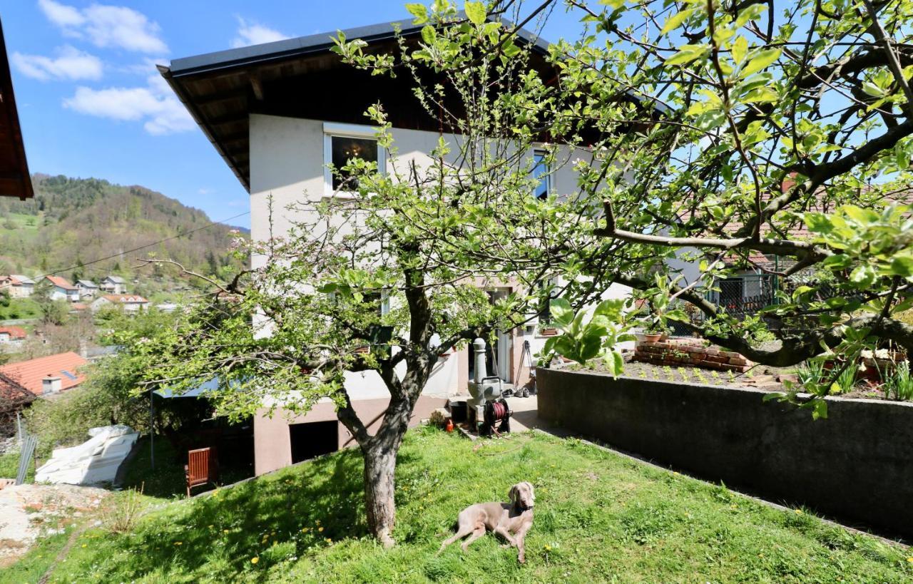 Vila Bergmannhaus Zagorje ob Savi Exteriér fotografie